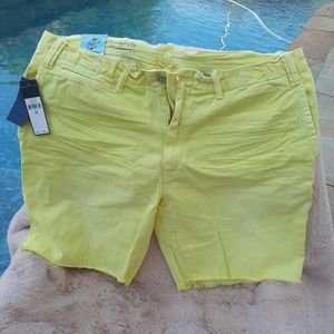 Polo RL Men's Shorts